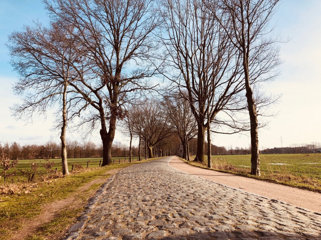 71136492_120571682659954_4038012352006717440_o